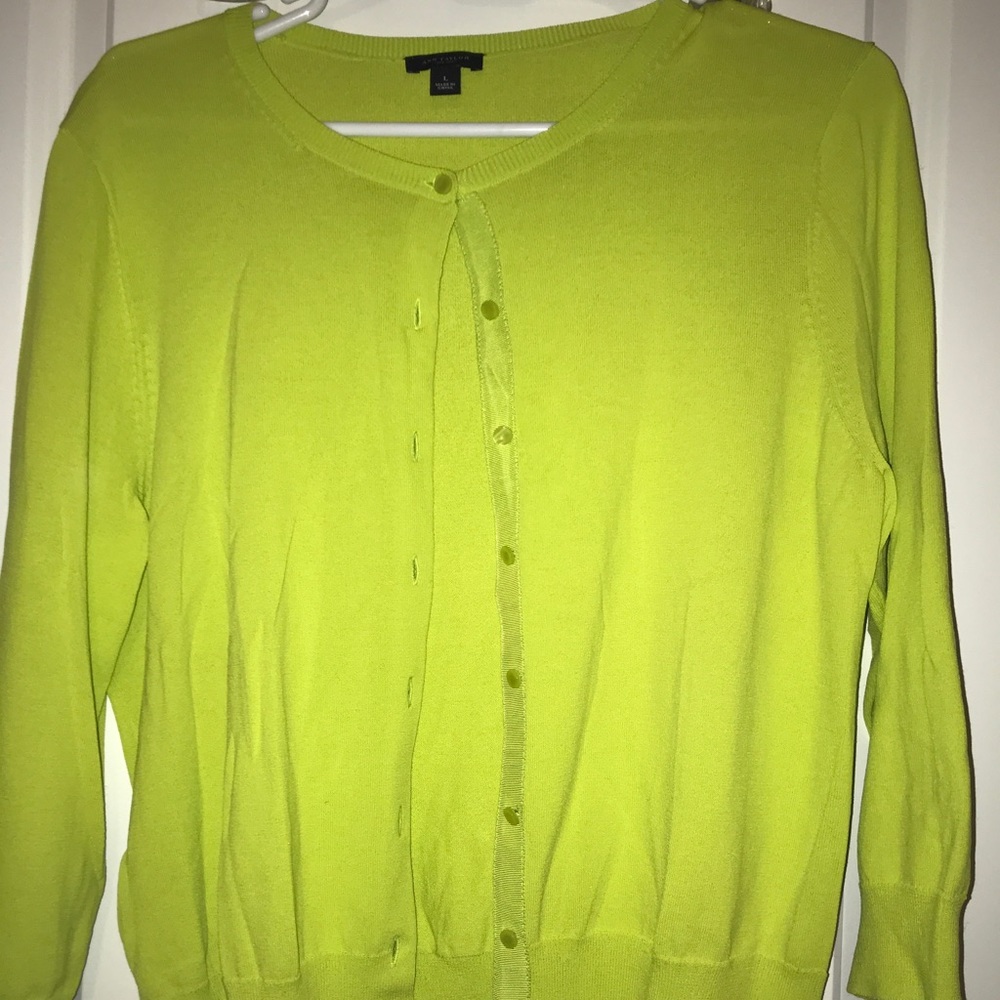 Ann Taylor sweater (Large)